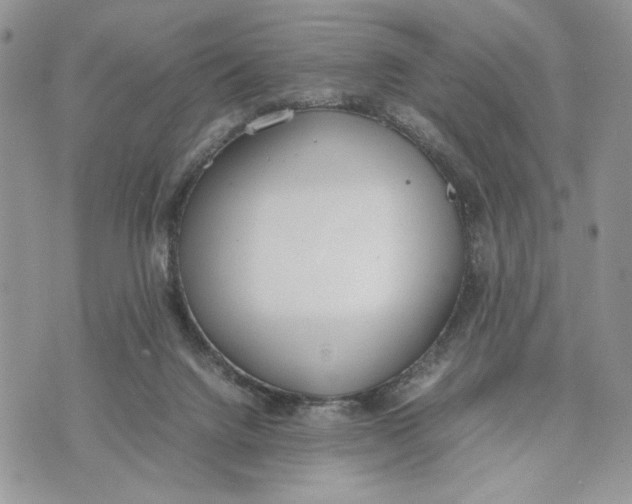 X0000070830072200607071752