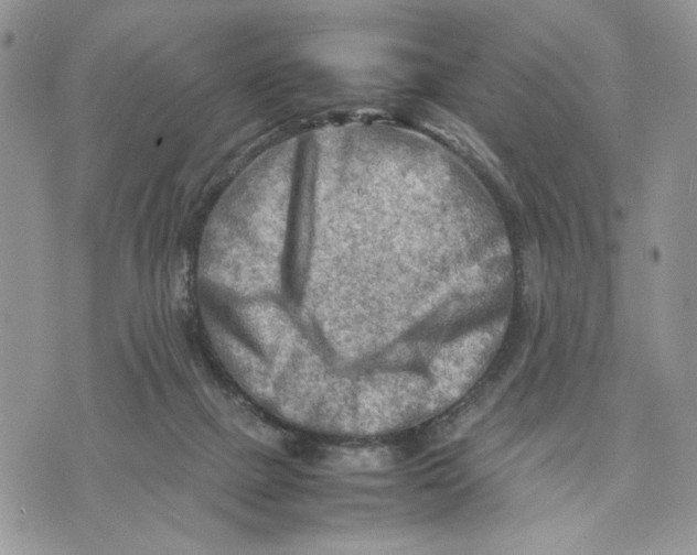 X0000070830073200607071752