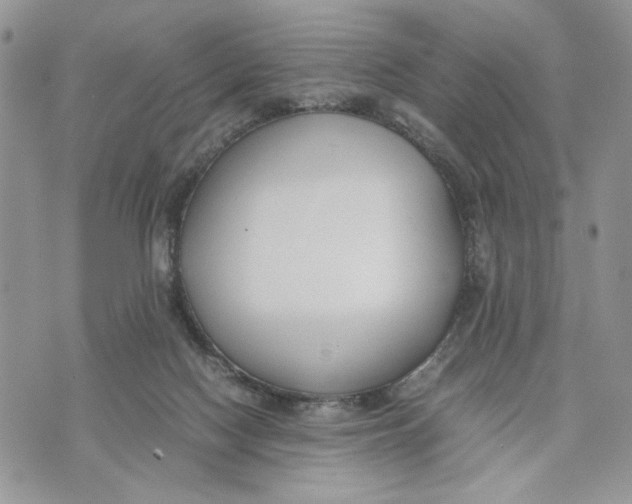 X0000070830074200607071752