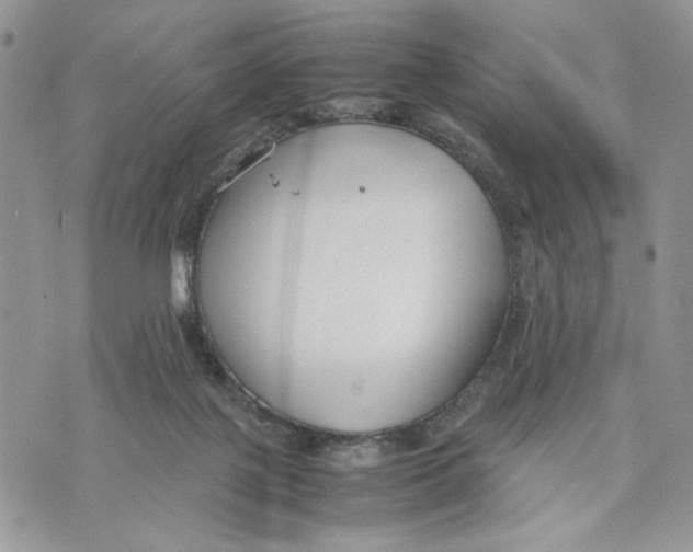 X0000070830075200607071752