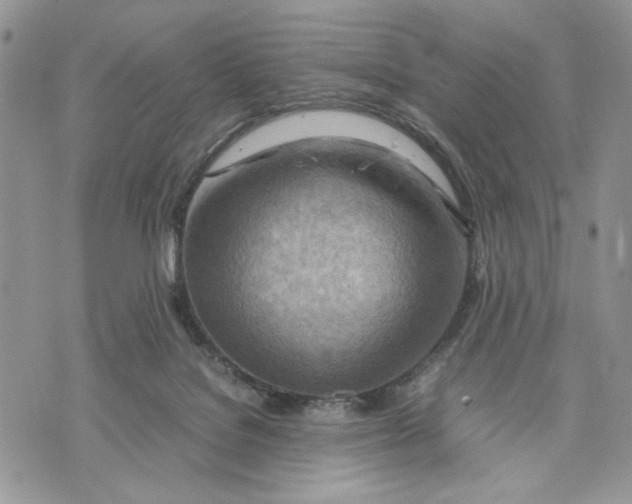 X0000070830076200607071752