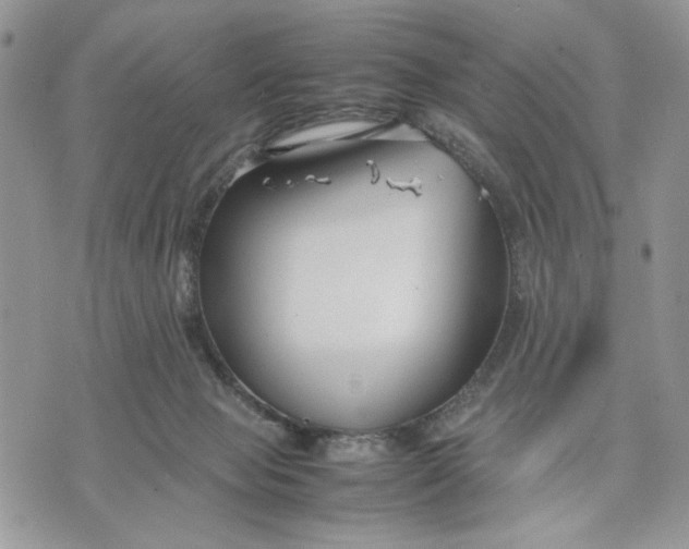 X0000070830077200607071752