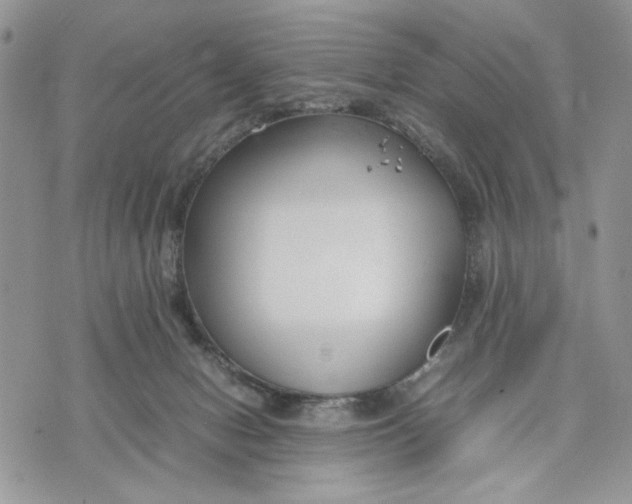 X0000070830078200607071752