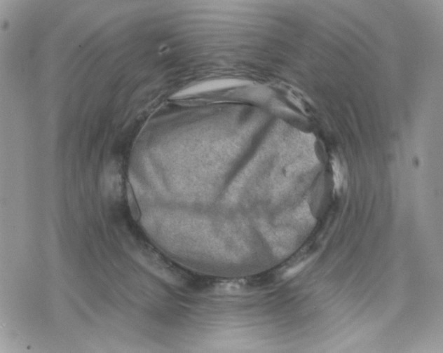 X0000070830080200607071752