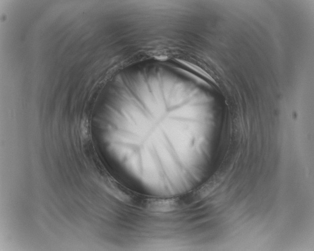 X0000070830081200607071752