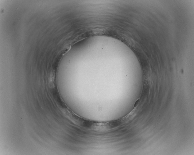 X0000070830082200607071752