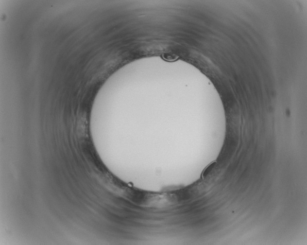 X0000070830083200607071752