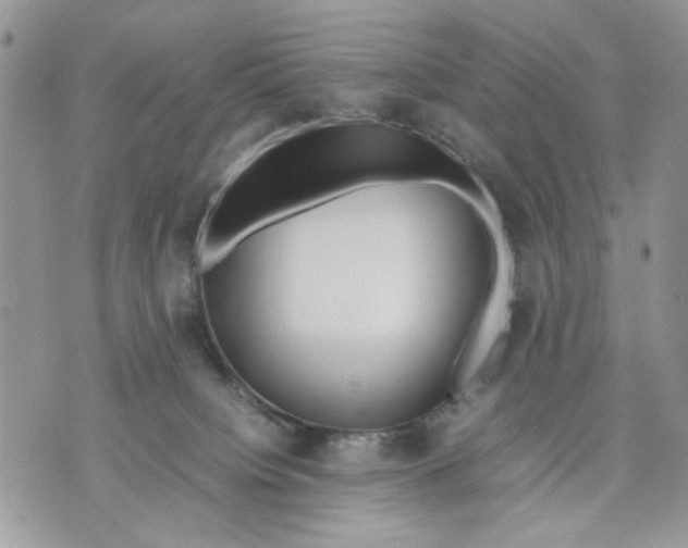 X0000070830084200607071752