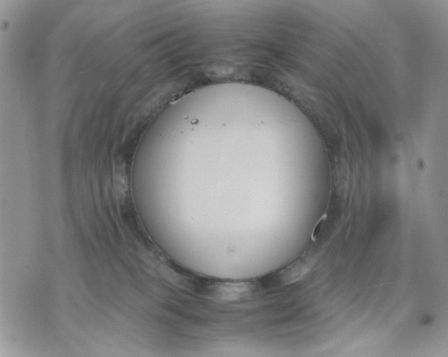 X0000070830085200607071752