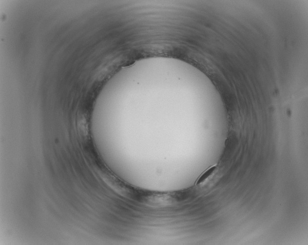 X0000070830086200607071752