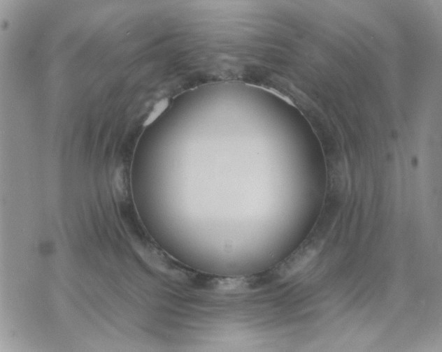 X0000070830088200607071752