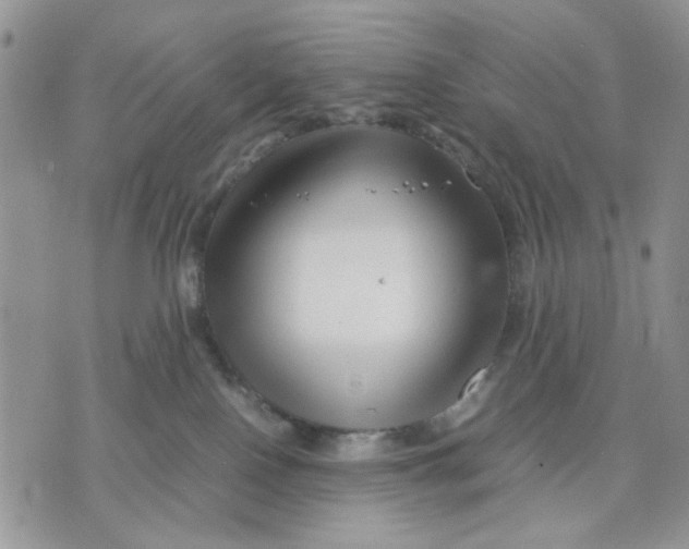 X0000070830090200607071752