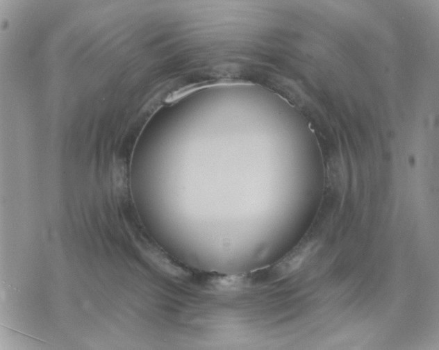 X0000070830092200607071752