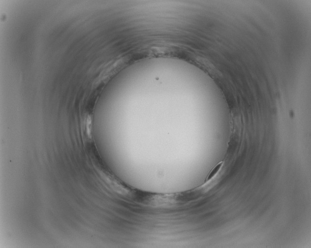 X0000070830094200607071752