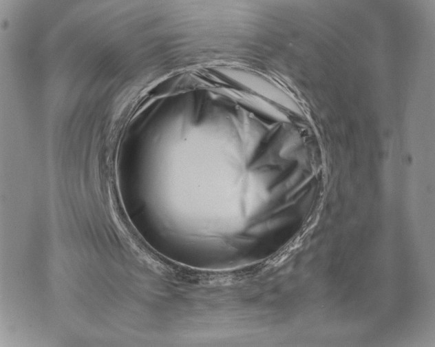 X0000070830097200607071752