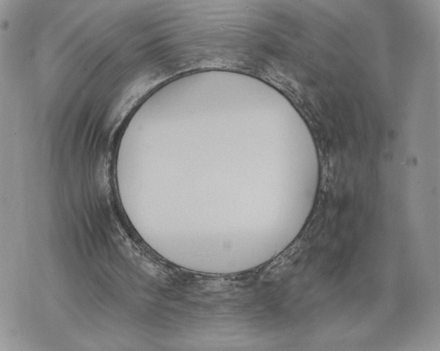 X0000070830098200607071752