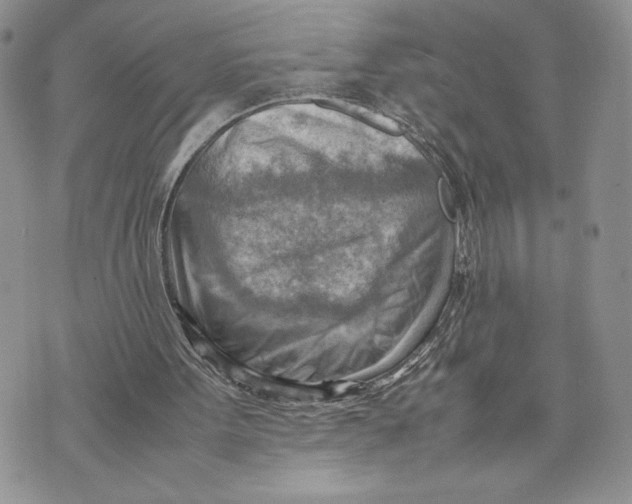 X0000070830099200607071752