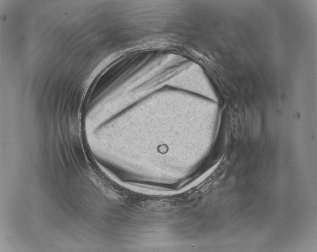 X0000070830100200607071752