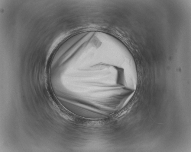 X0000070830102200607071751