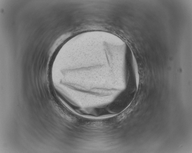 X0000070830104200607071751