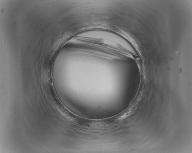 X0000070830105200607071751