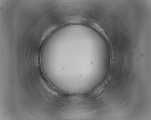 X0000070830106200607071751