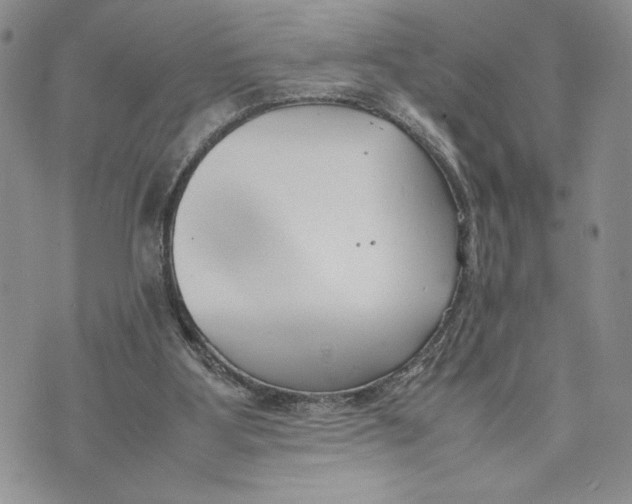 X0000070830107200607071751