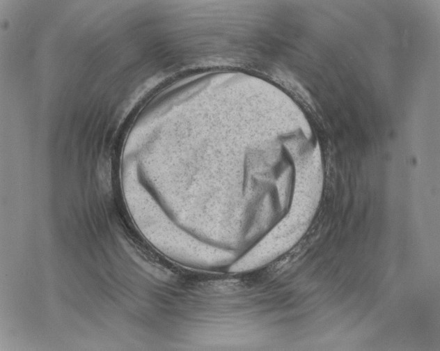 X0000070830108200607071751