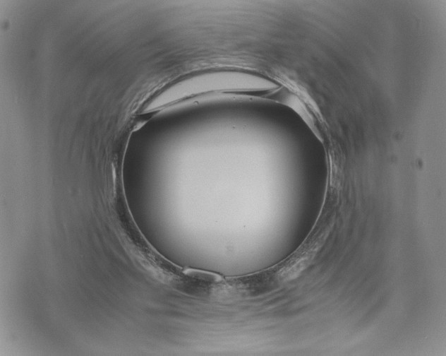 X0000070830109200607071751