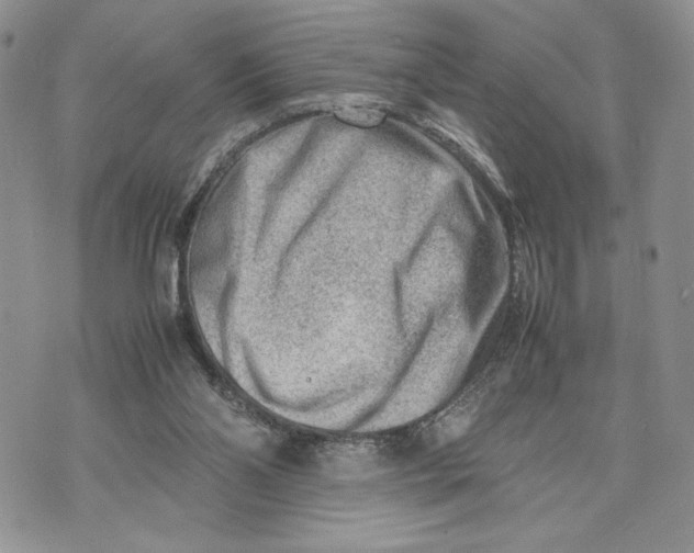 X0000070830110200607071751