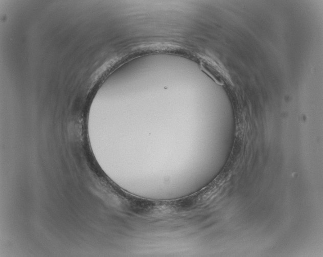 X0000070830111200607071751