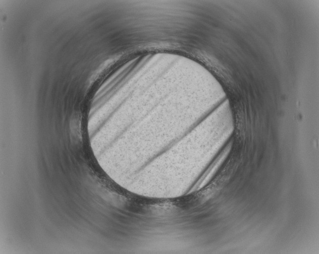 X0000070830112200607071751