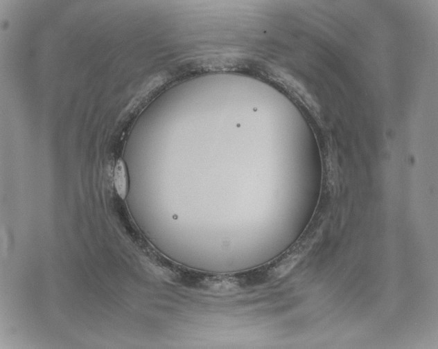 X0000070830113200607071751