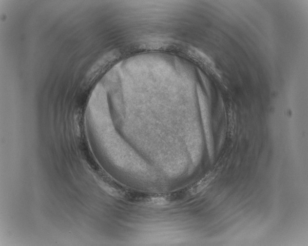 X0000070830114200607071751