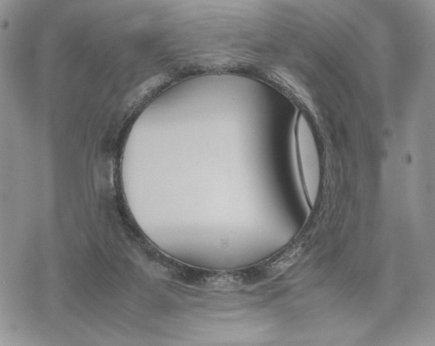 X0000070830115200607071751