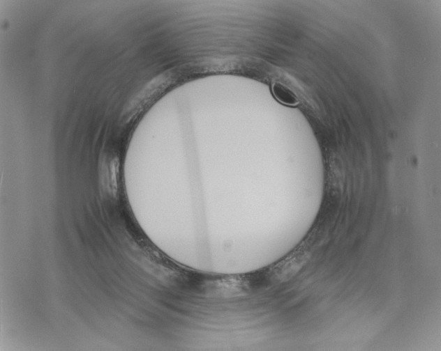 X0000070830118200607071751