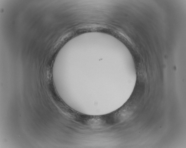 X0000070830119200607071751