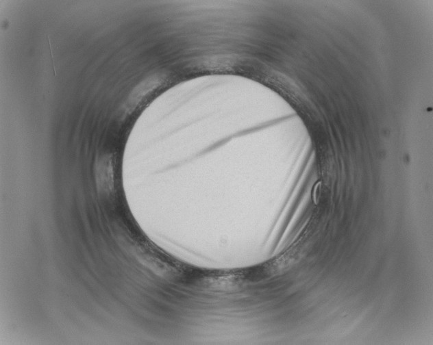 X0000070830120200607071751