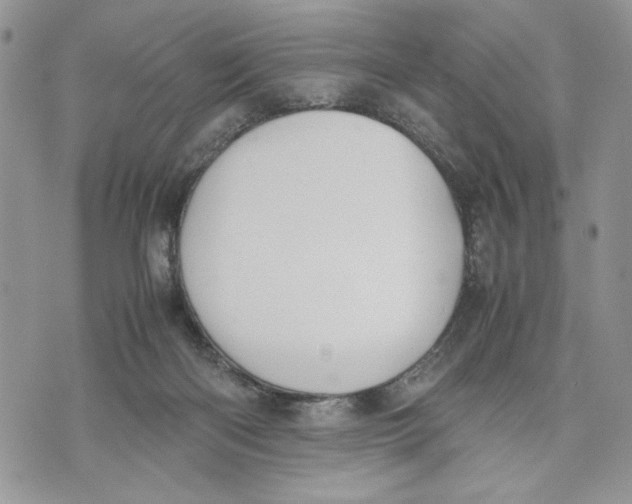 X0000070830122200607071751