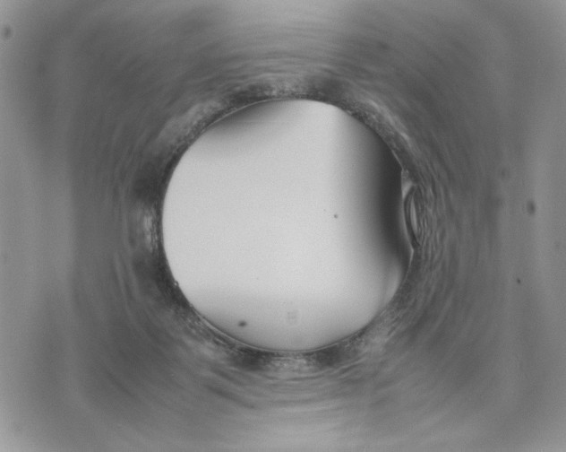 X0000070830123200607071751