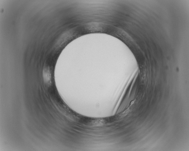 X0000070830124200607071751