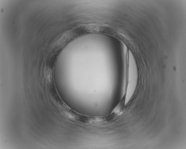 X0000070830125200607071751