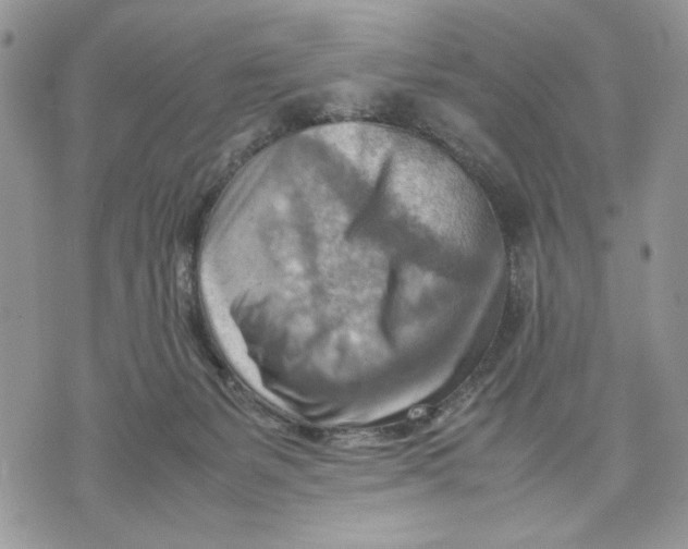 X0000070830127200607071751