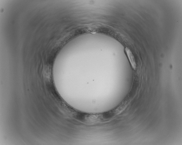 X0000070830129200607071751