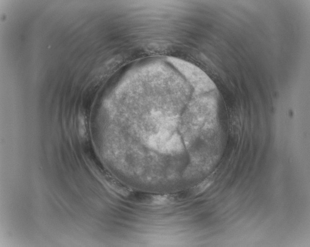 X0000070830130200607071751