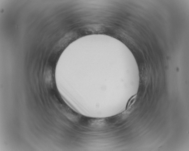 X0000070830132200607071751