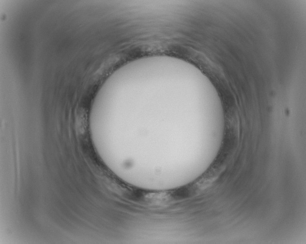 X0000070830133200607071751