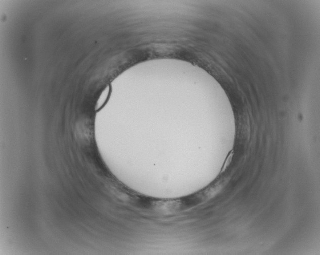 X0000070830135200607071751