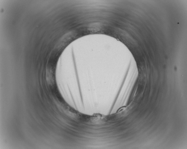 X0000070830136200607071751