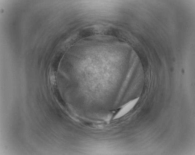 X0000070830137200607071751